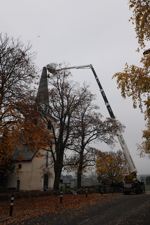 Höst Ingå Degerby 105b_L.jpg